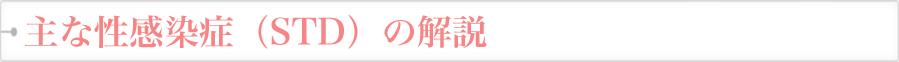 主な性感染症（STD）の解説